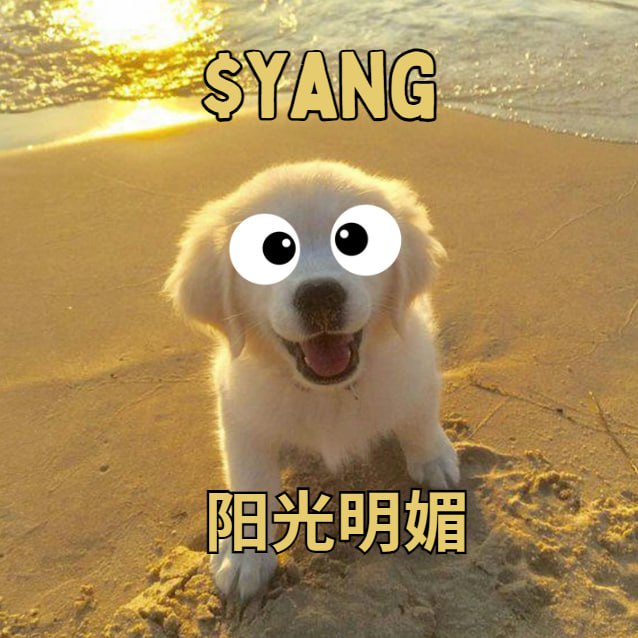 YANG Hero