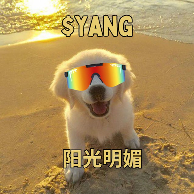 About YANG